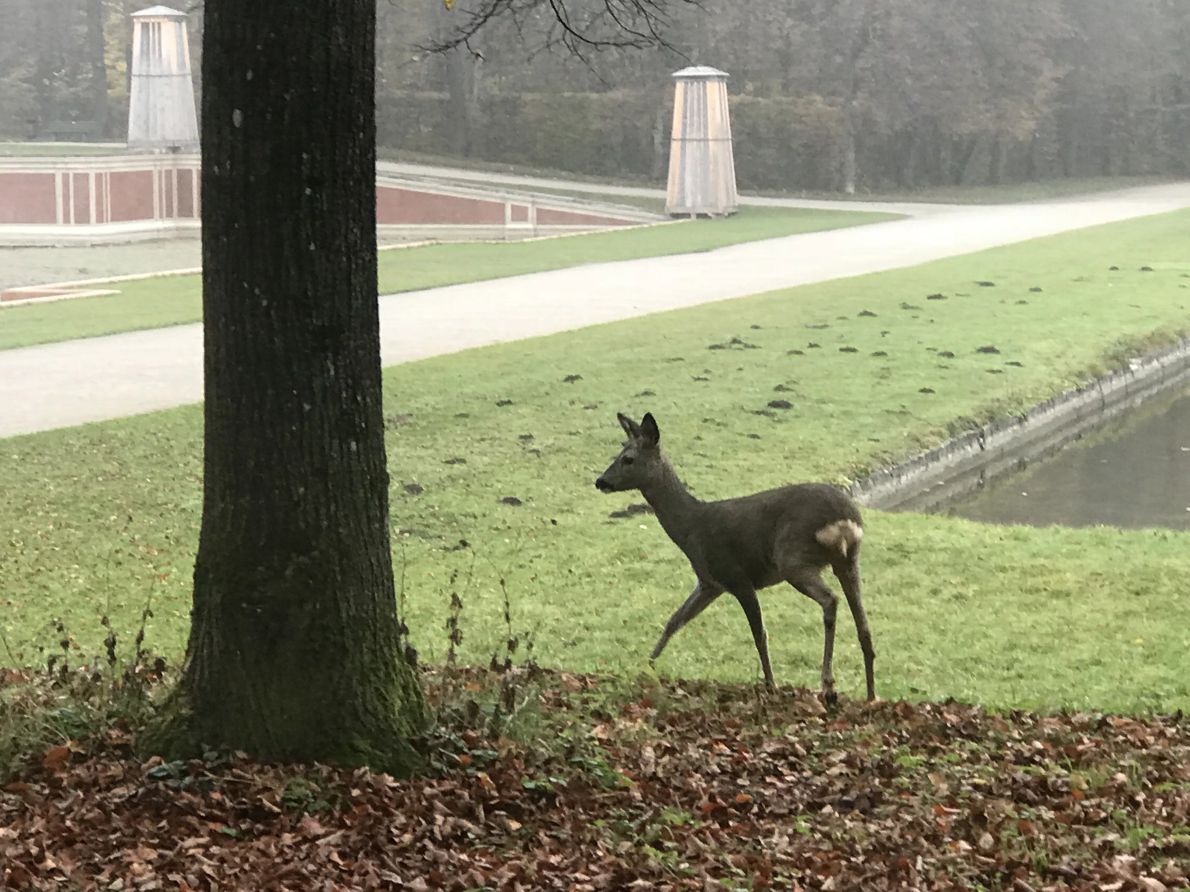 Nymphenburg