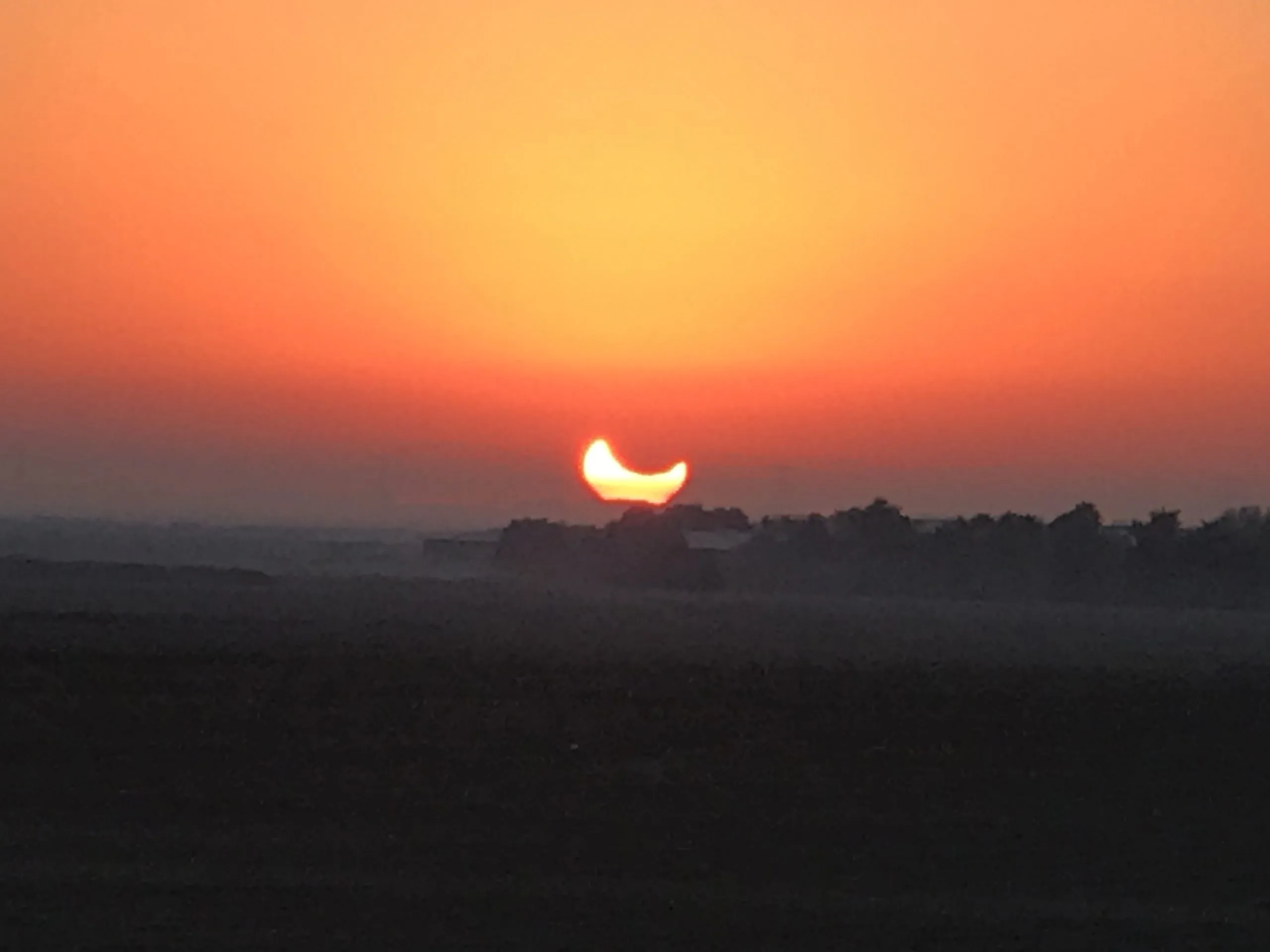The Solar Eclipse in Abu Dhabi