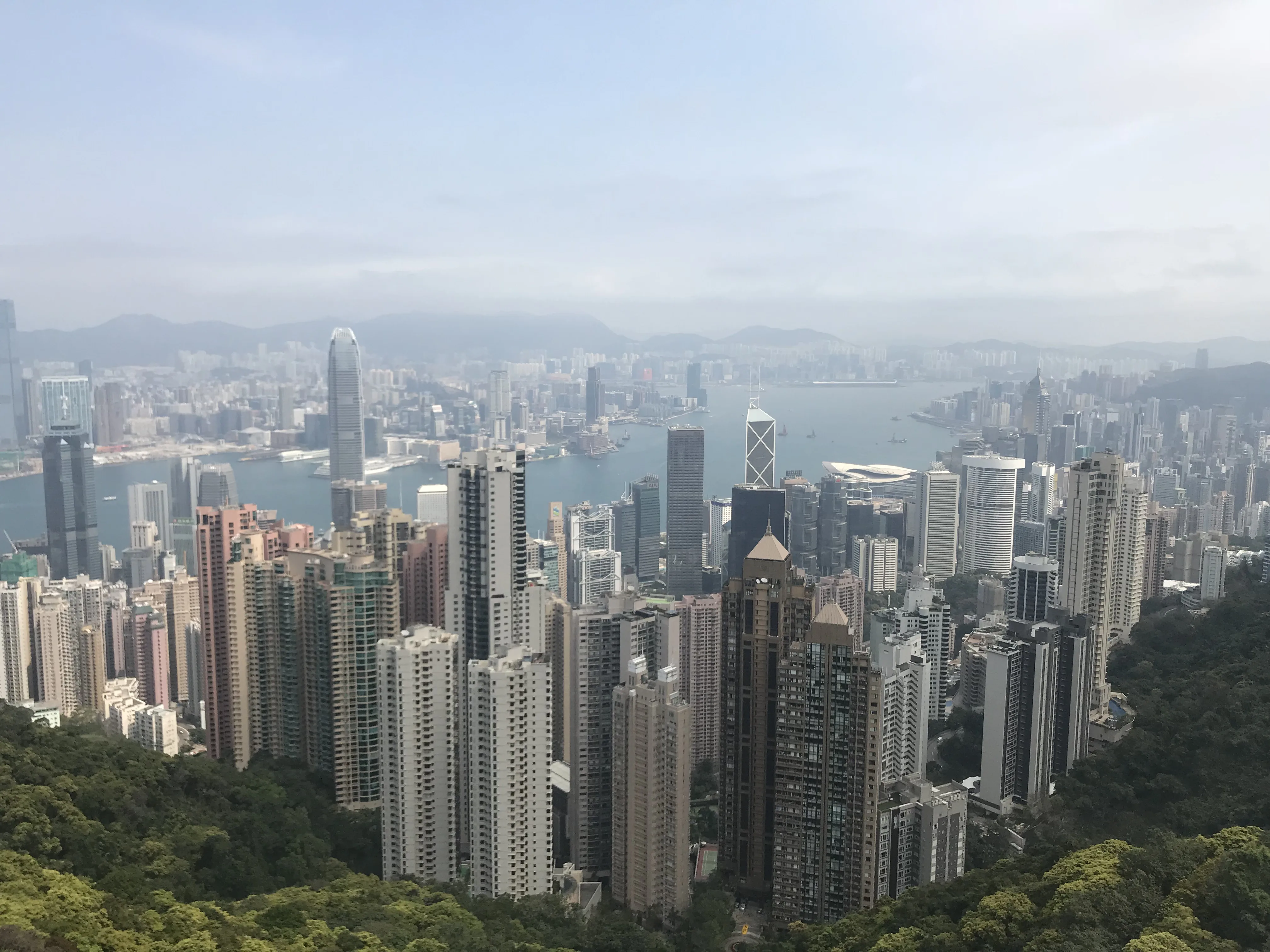 Vertical City